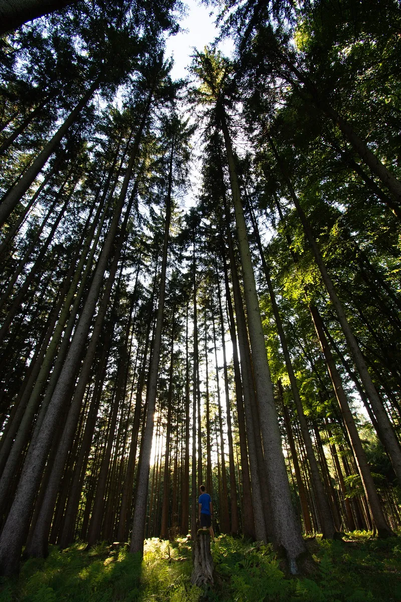 Landscape photo 22