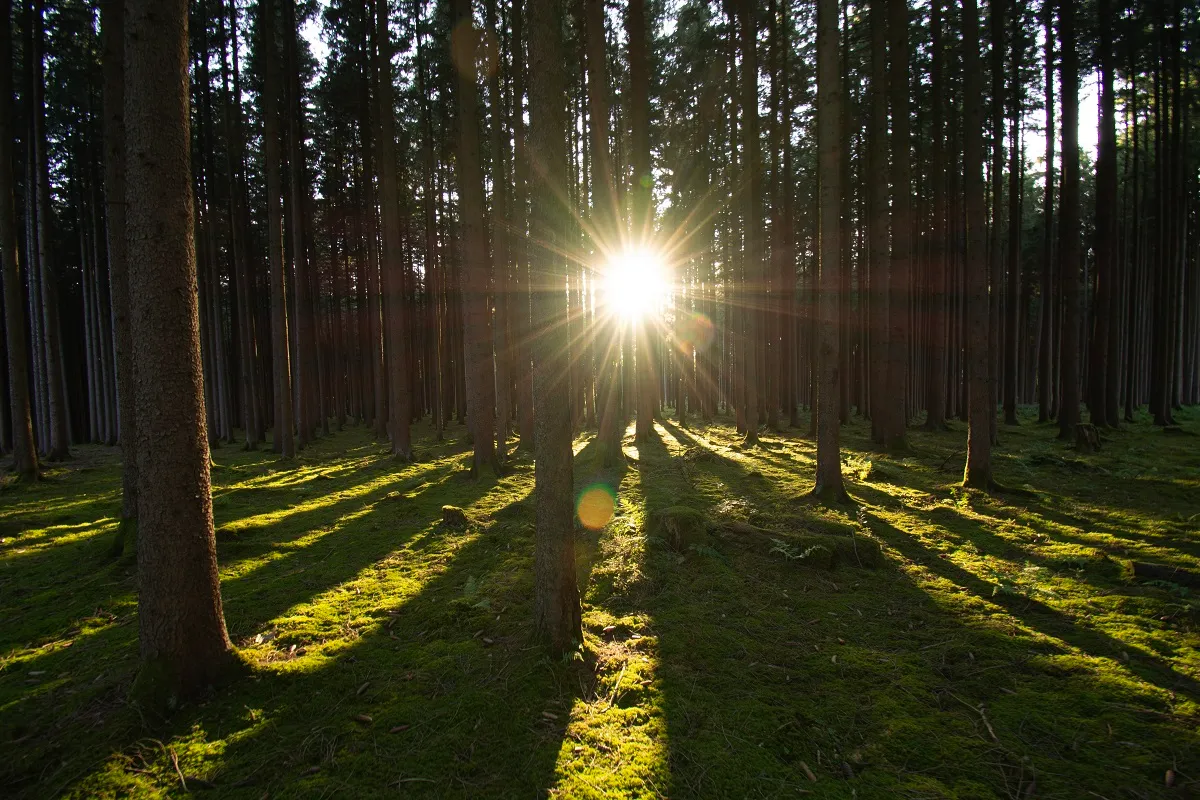 Landscape photo 23