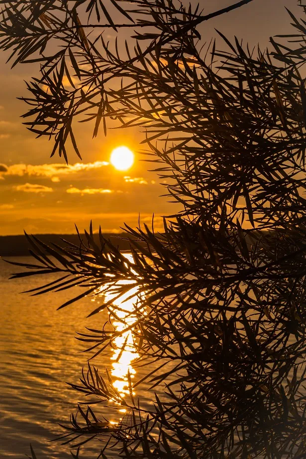Landscape photo 7