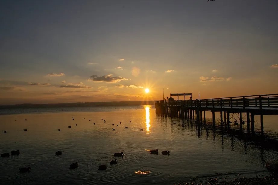 Landscape photo 8